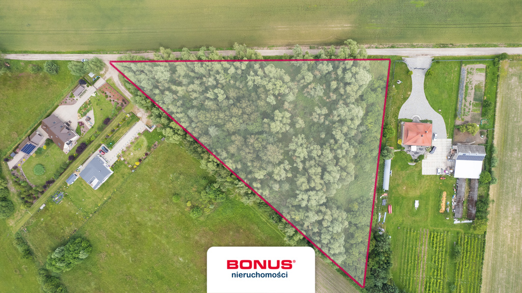 Działka w Dąbrówce Leśnej - 12.000 m2 (5)