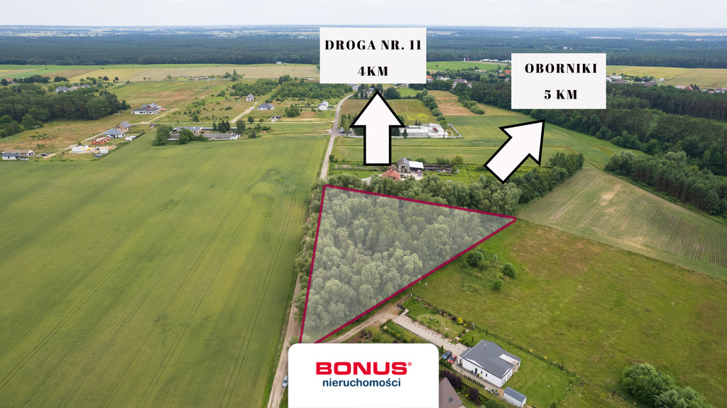 Działka w Dąbrówce Leśnej - 12.000 m2 (4)