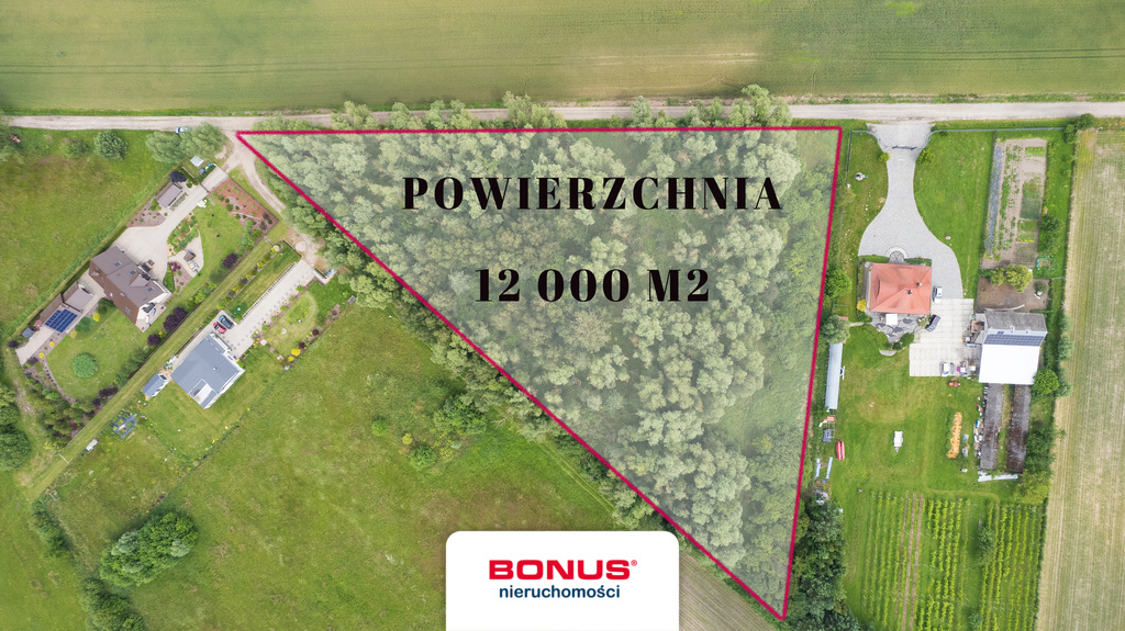 Działka w Dąbrówce Leśnej - 12.000 m2 (3)