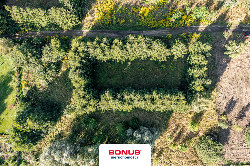 * Bednary * działka 1271 m2 * gm. Pobiedziska (8)