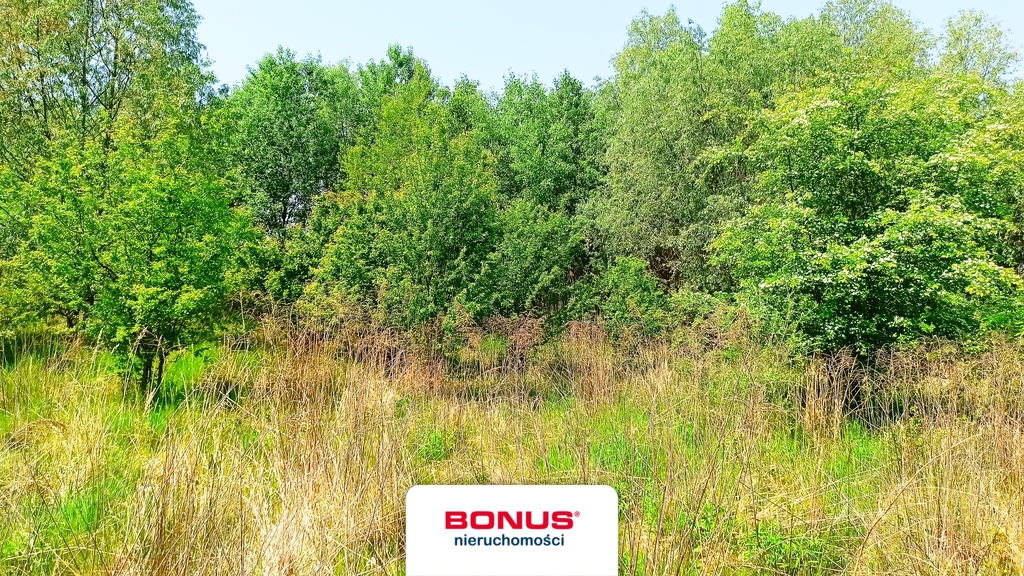 Działka 1438 m2 w Lusowie (11)