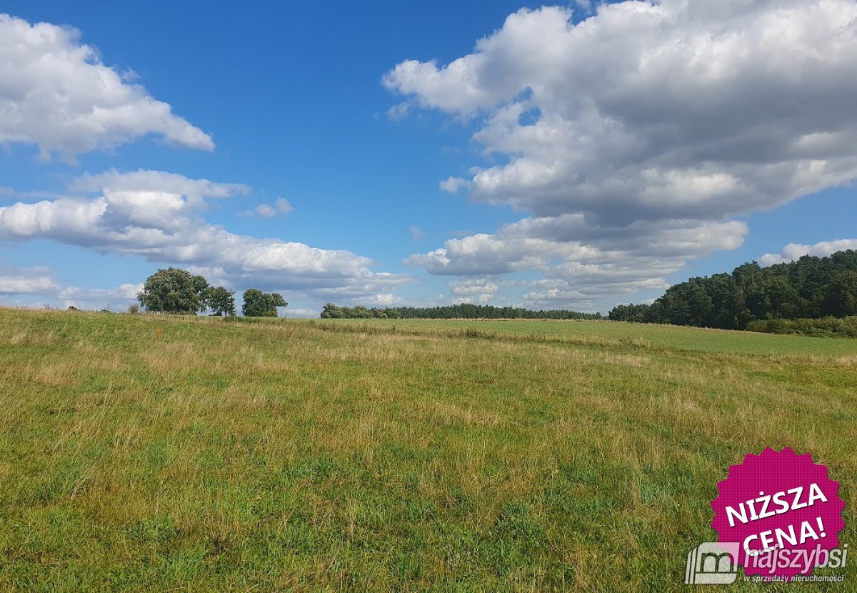 ŚWIĘTA- DZIAŁKA BUDOWLANA Z WARUNKAMI ZABUDOWY (3)