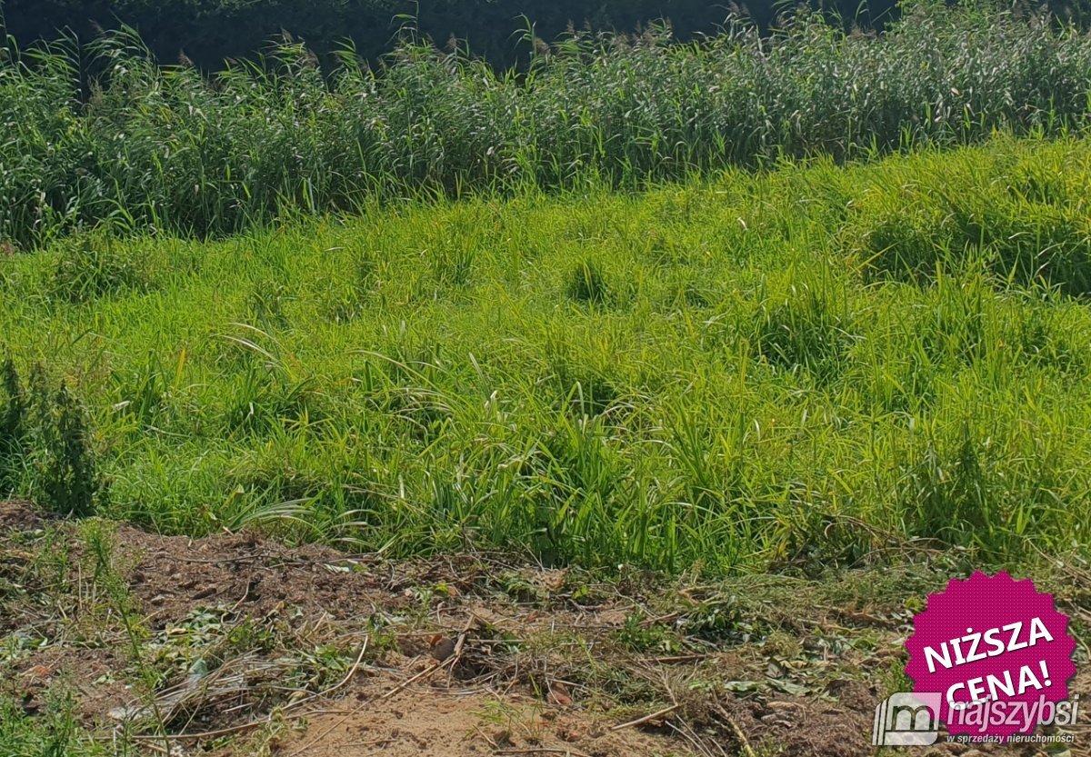 ŚWIĘTA- DZIAŁKA BUDOWLANA Z WARUNKAMI ZABUDOWY (4)