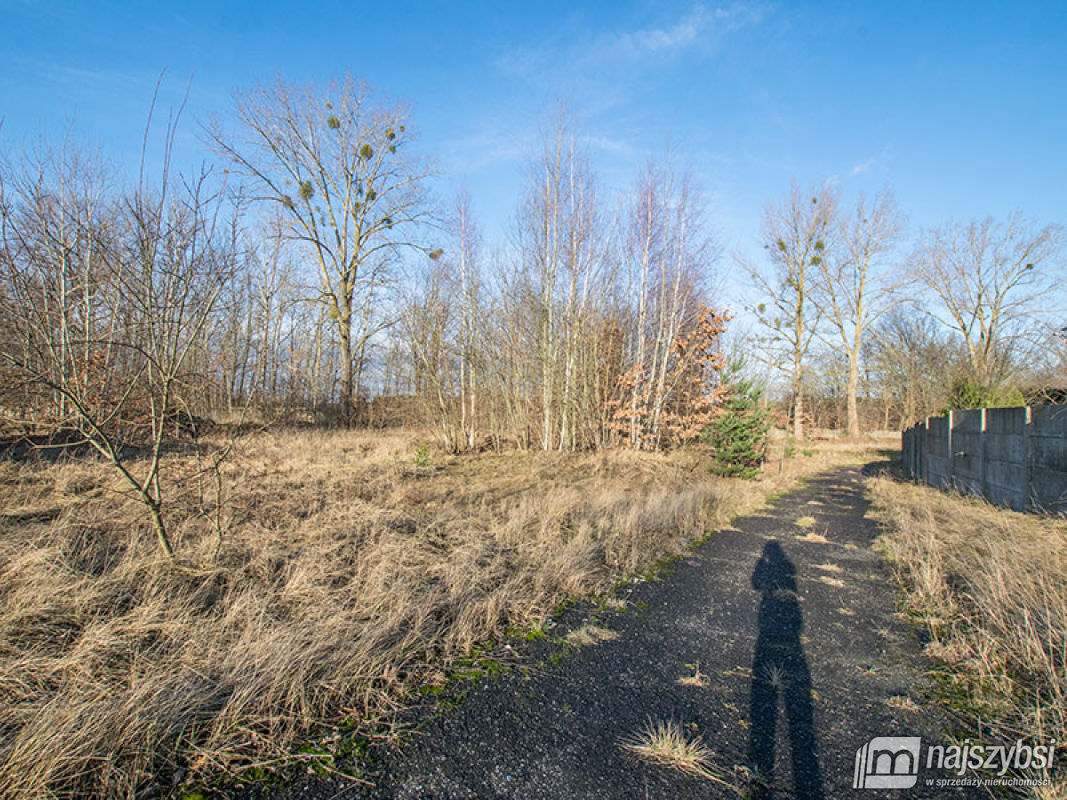Działka usługowa w Nowogardzie przy drodze głównej (3)