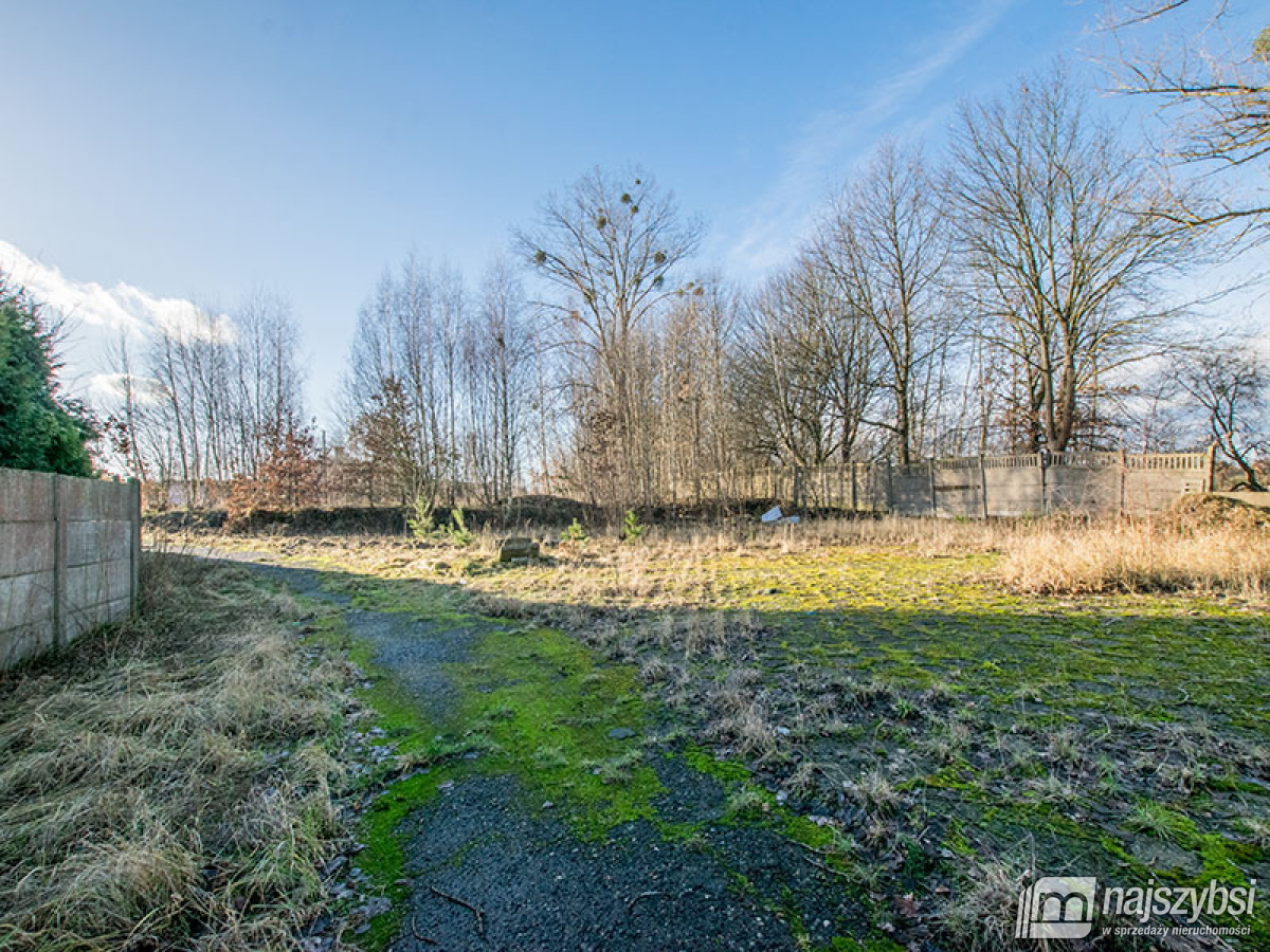 Działka usługowa w Nowogardzie przy drodze głównej (6)