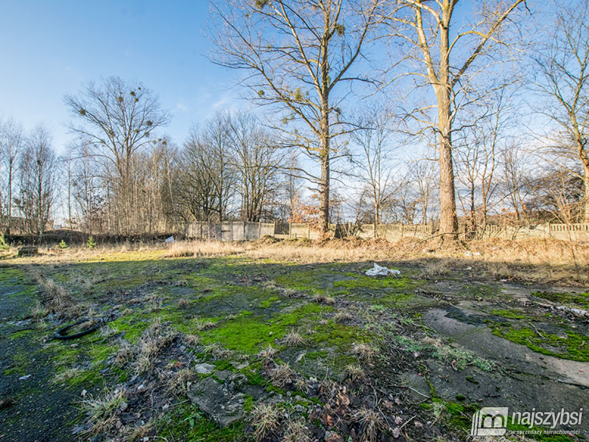 Działka usługowa w Nowogardzie przy drodze głównej (9)