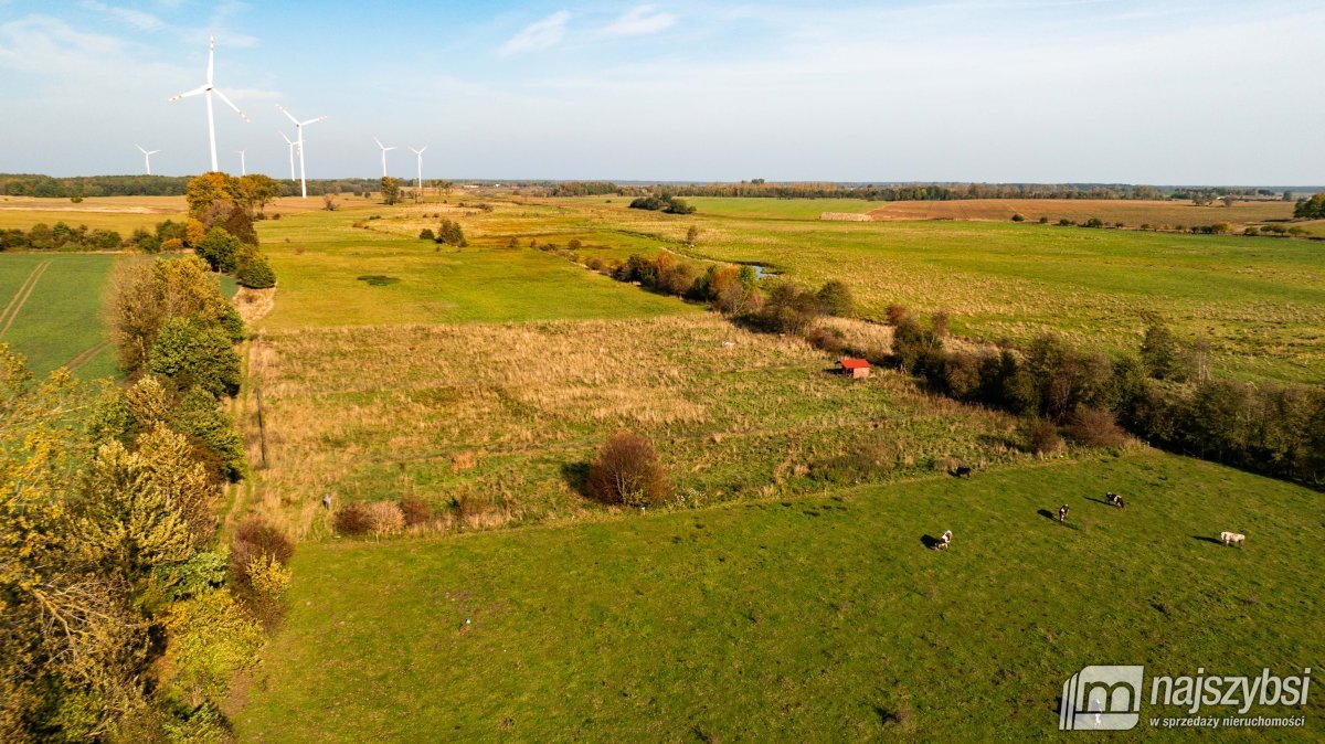 SARBIA DZIAŁKA O POWIERZCHNI 3065m  (3)