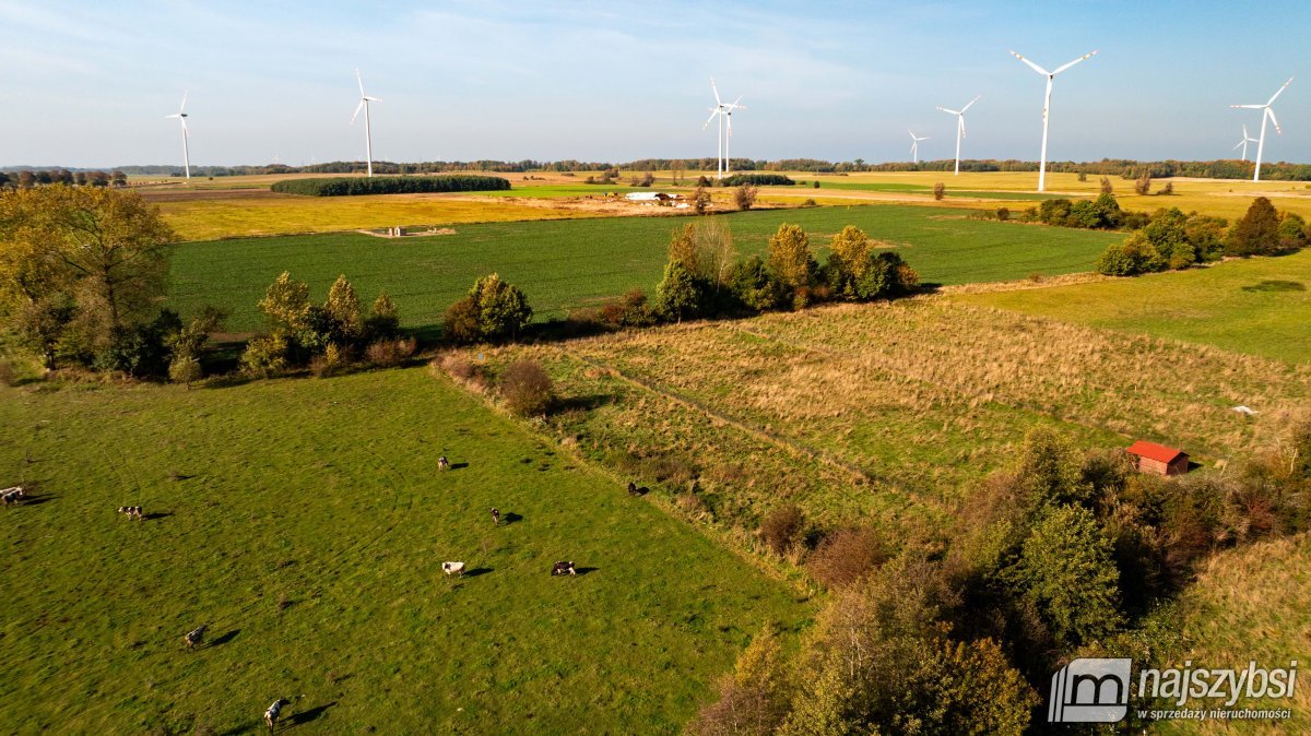 SARBIA DZIAŁKA O POWIERZCHNI 3065m  (4)