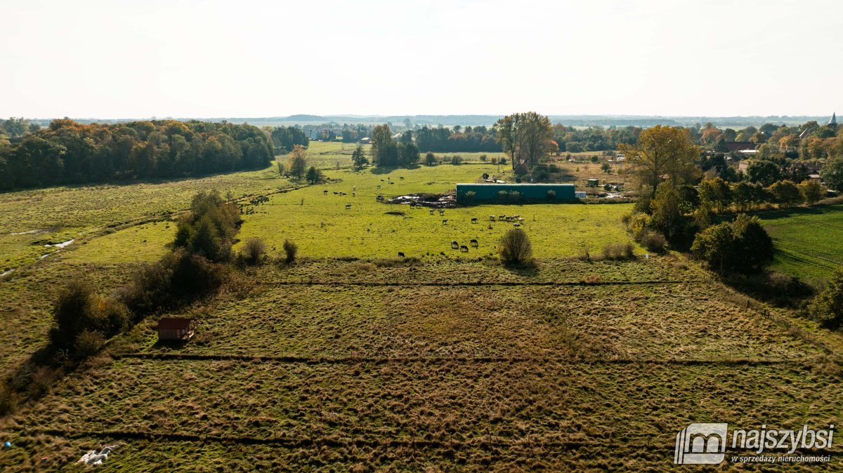 SARBIA DZIAŁKA O POWIERZCHNI 3065m  (5)