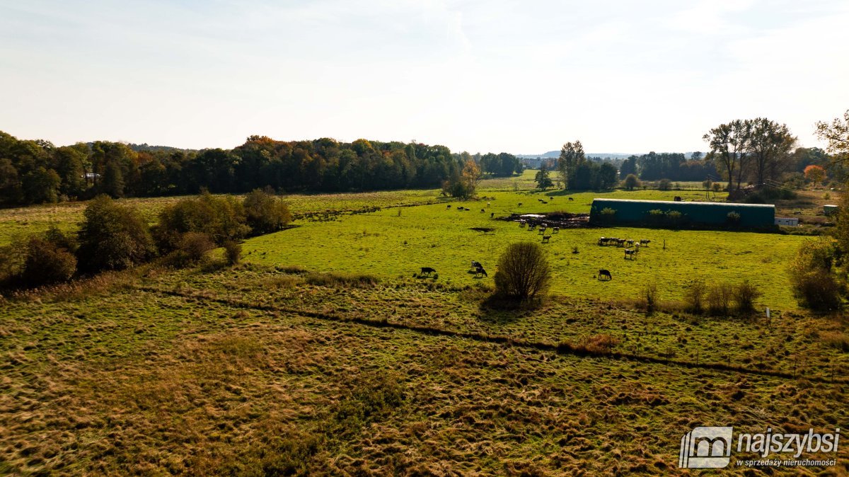 SARBIA DZIAŁKA O POWIERZCHNI 3065m  (6)