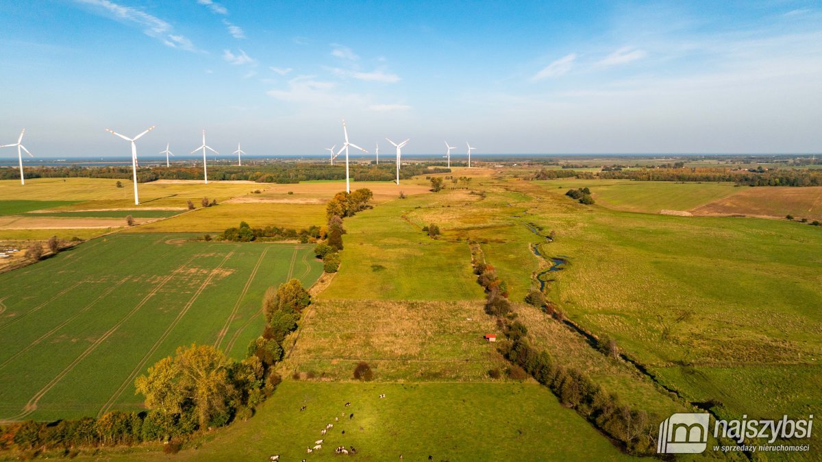 SARBIA DZIAŁKA O POWIERZCHNI 3065m  (8)