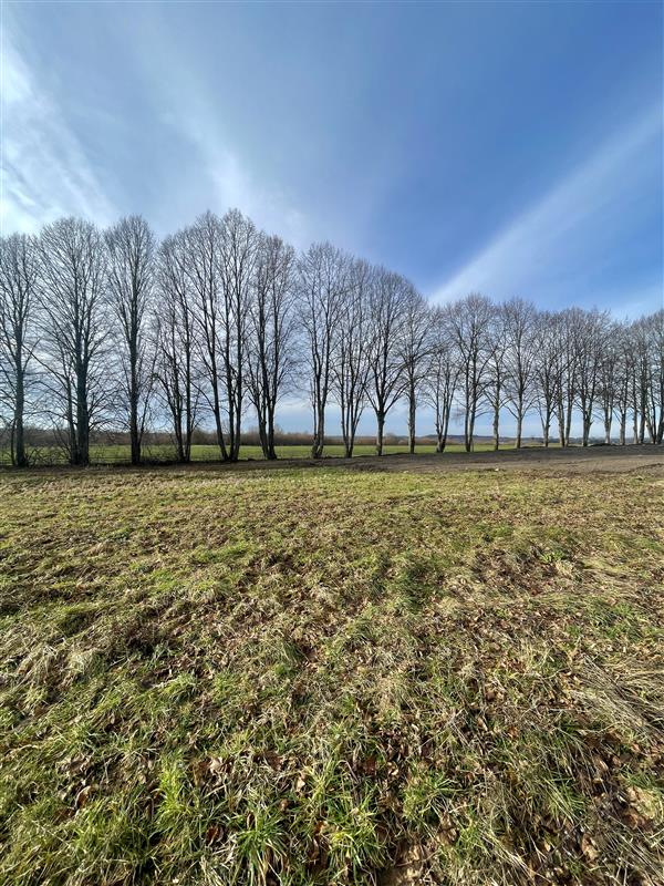 Działka budowlana - Chałupy, media, MPZP! (1)