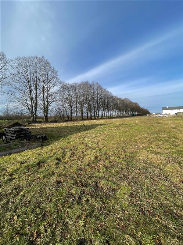 Działka budowlana - Chałupy, media, MPZP! (4)