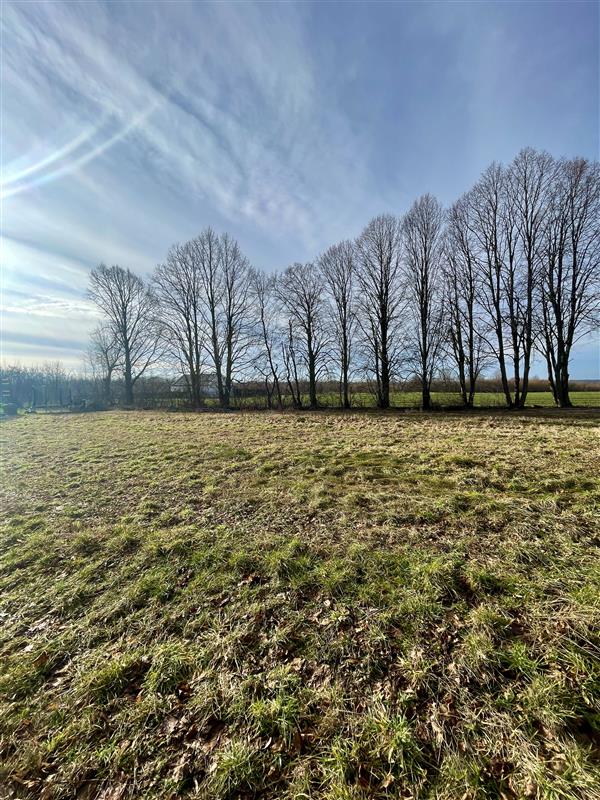 Działka budowlana - Chałupy, media, MPZP! (6)