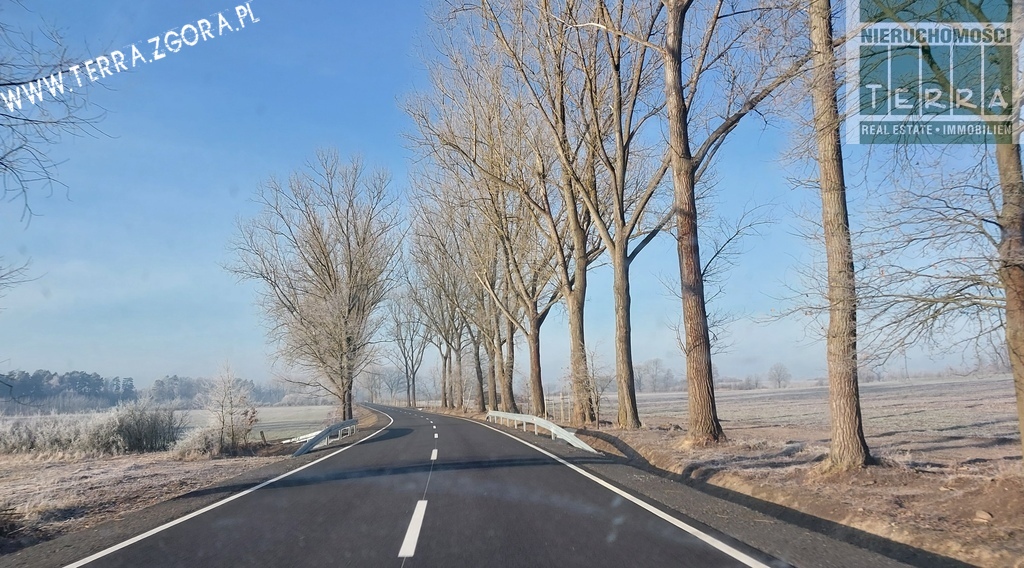 DZIAŁKA INWESTYCYJNA (20)