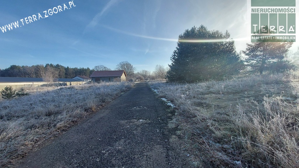 DZIAŁKA INWESTYCYJNA (13)