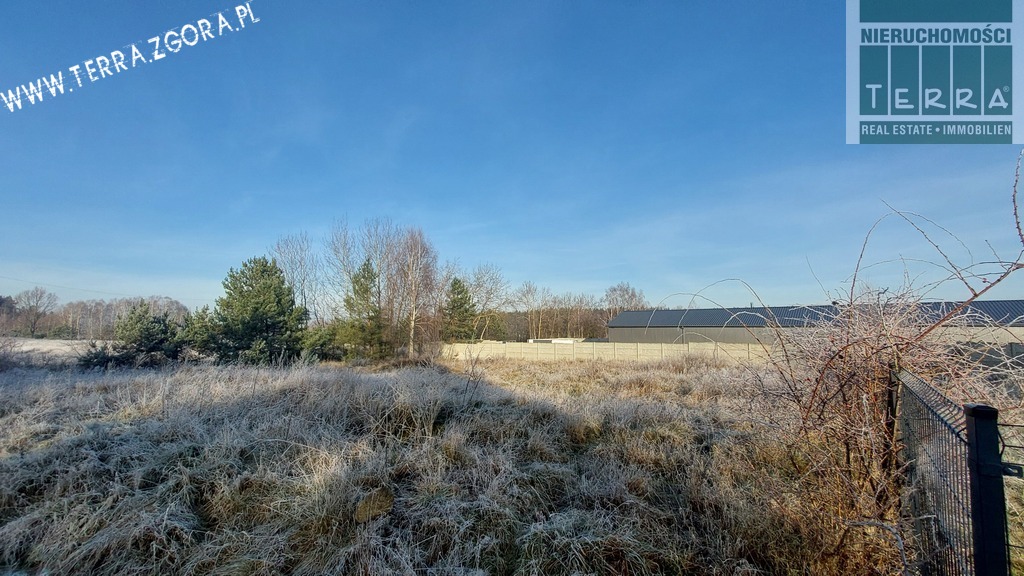 DZIAŁKA INWESTYCYJNA (6)