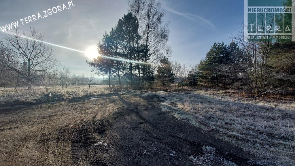 DZIAŁKA INWESTYCYJNA (1)