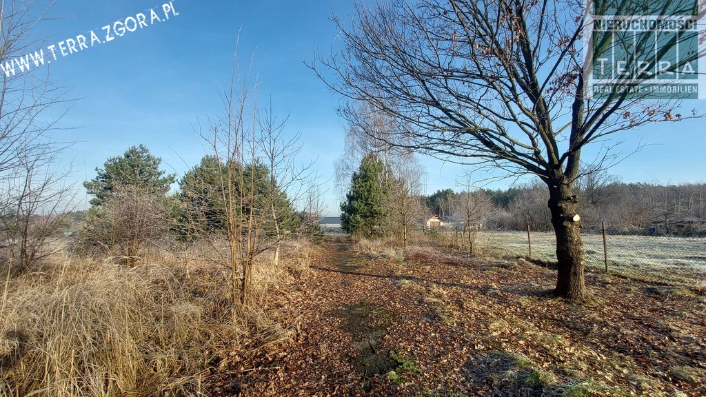 DZIAŁKA INWESTYCYJNA (3)