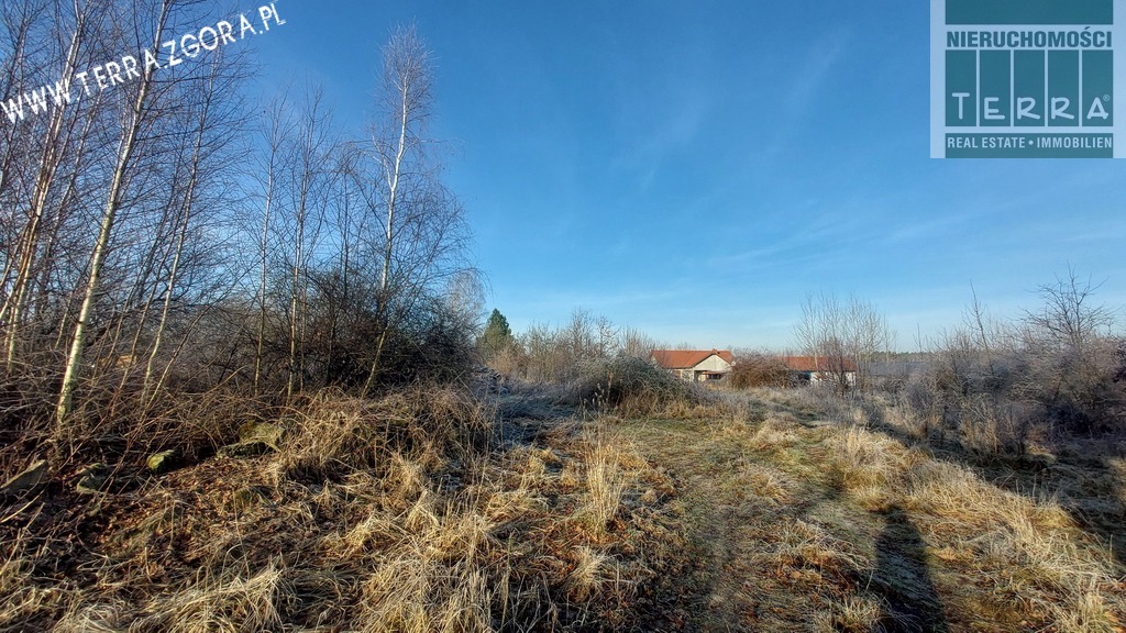 DZIAŁKA INWESTYCYJNA (4)