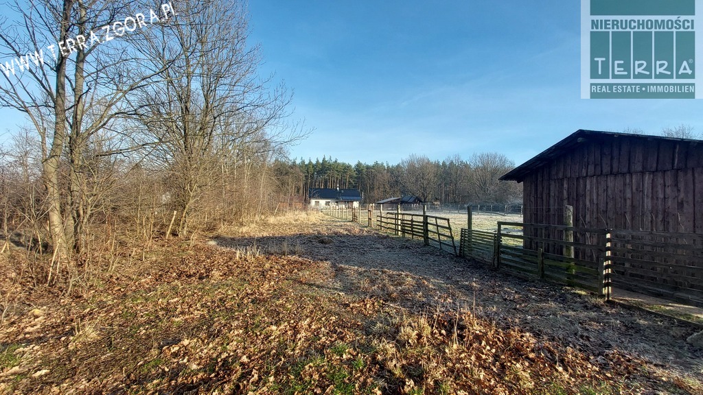 DZIAŁKA INWESTYCYJNA (5)