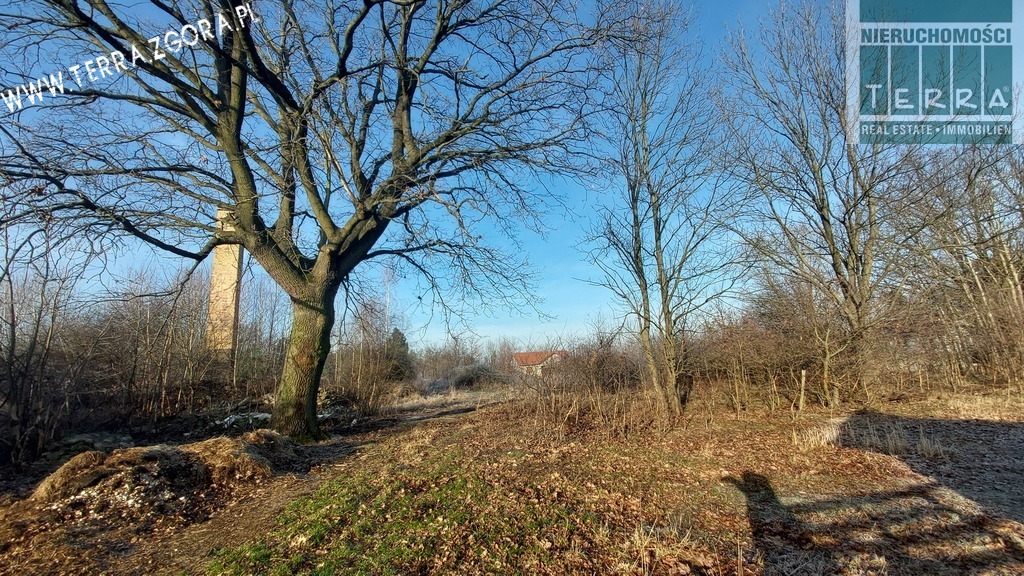 DZIAŁKA INWESTYCYJNA (11)