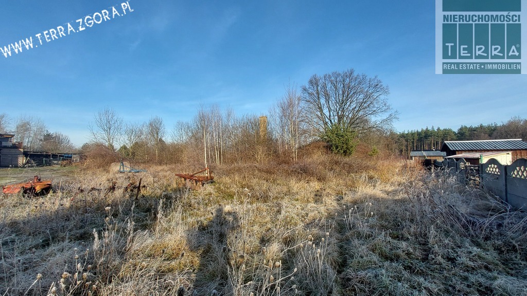 DZIAŁKA INWESTYCYJNA (9)