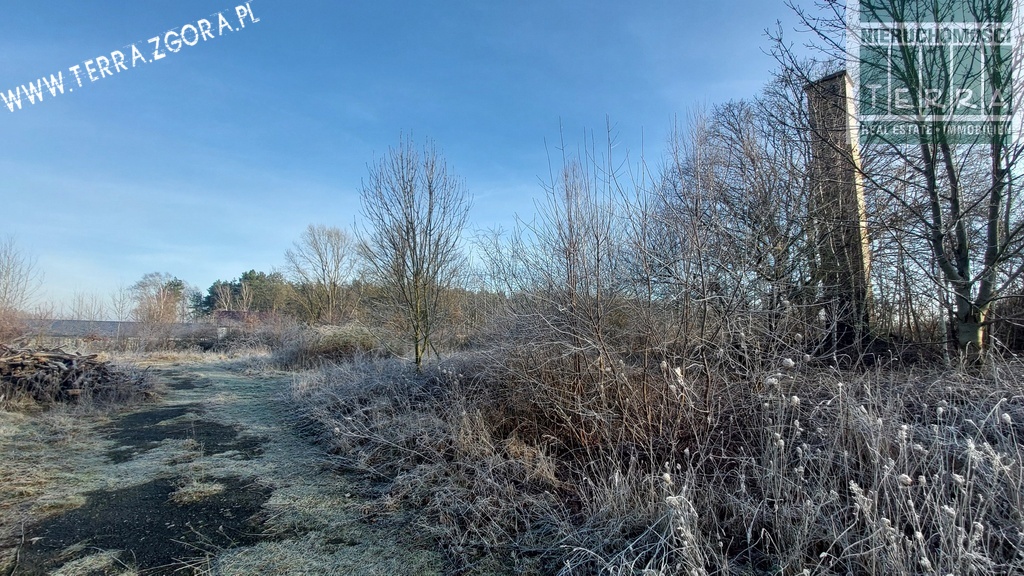 DZIAŁKA INWESTYCYJNA (16)