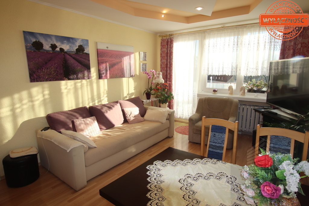 Wiosny Ludów 3pok, 61m2, cena 520 tys.zł (3)