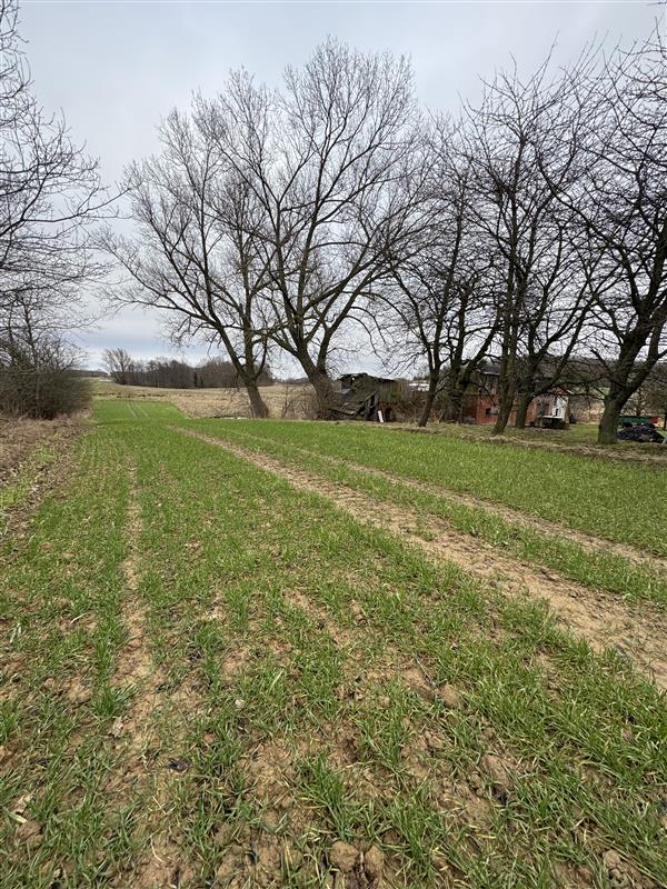 Działka - Słowienkowo Słowienkowo (3)