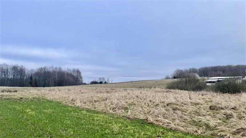 Działka - Słowienkowo Słowienkowo (4)