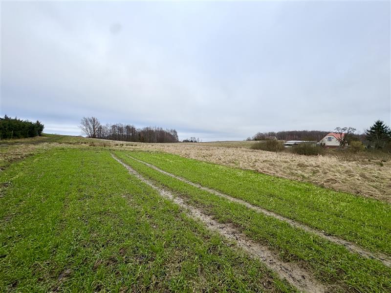 Działka - Słowienkowo Słowienkowo (5)