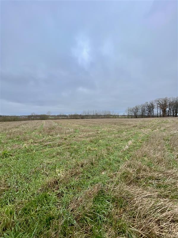 Dom - Będzino Będzino (9)