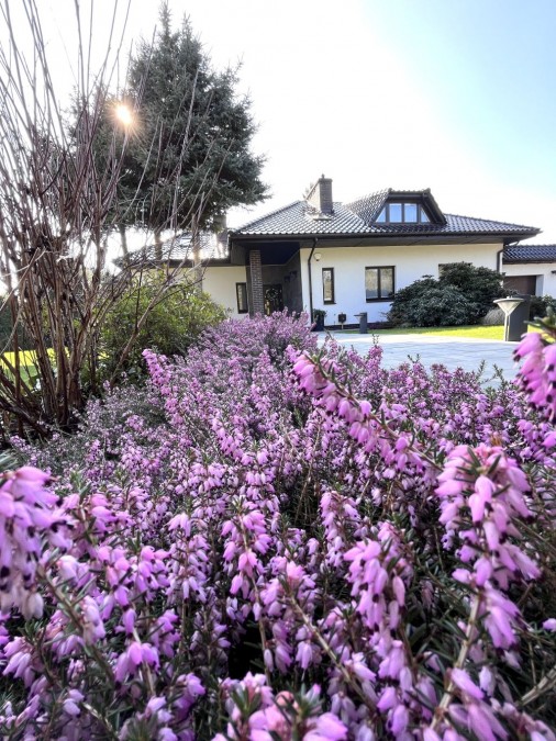 PIĘKNY DOM W MOTAŃCU (1)