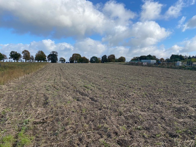 DZIAŁKA W TYCHOWIE Z WARUNKAMI ZABUDOWY (2)