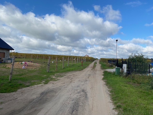 DZIAŁKA W TYCHOWIE Z WARUNKAMI ZABUDOWY (4)