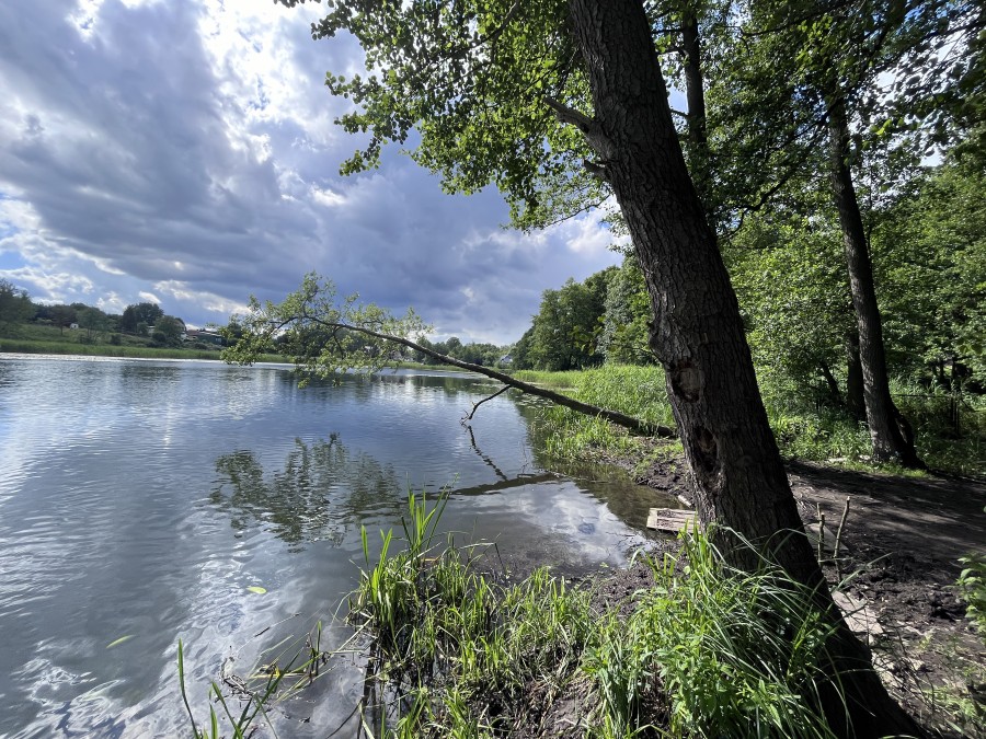 POSIADŁOŚĆ NAD STAWEM KLASZTORYM (2)