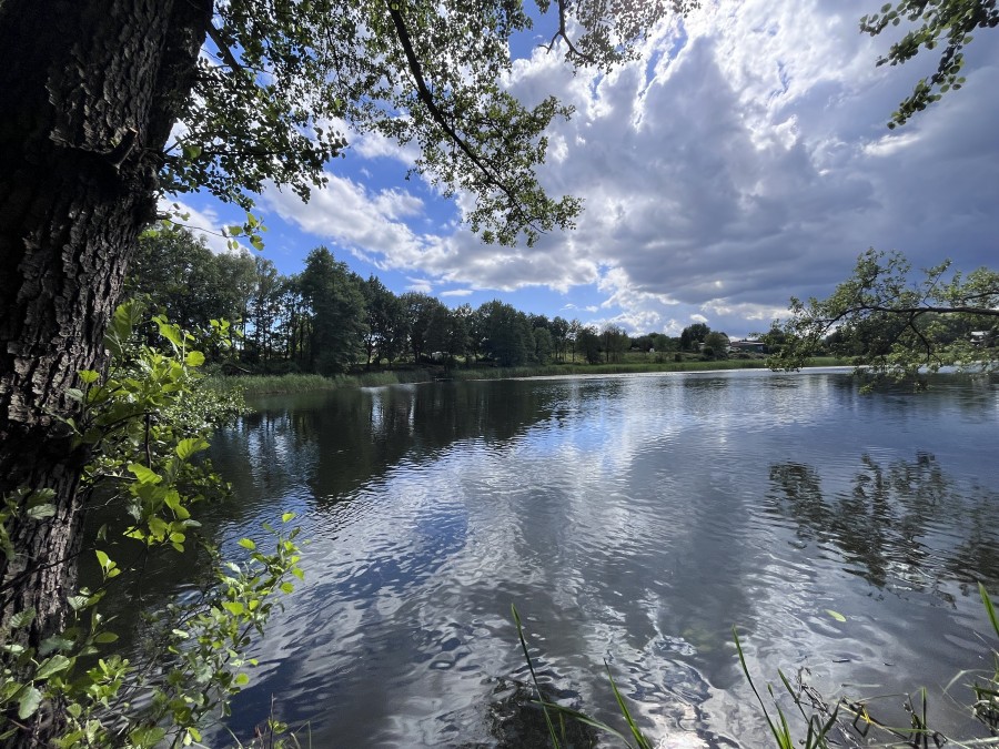 POSIADŁOŚĆ NAD STAWEM KLASZTORYM (1)