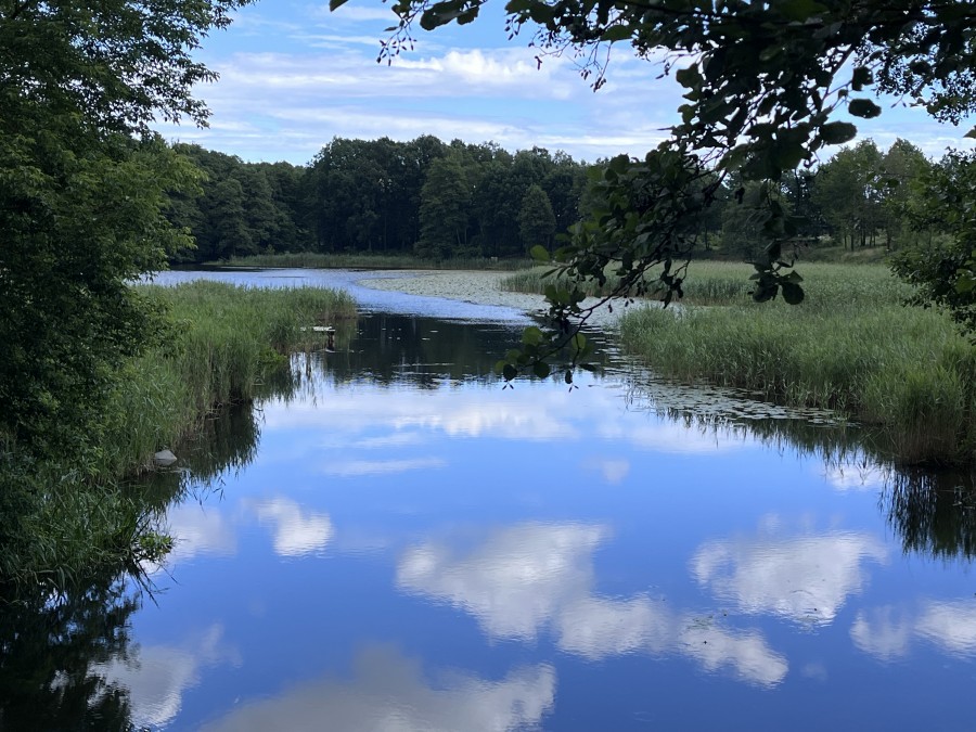 POSIADŁOŚĆ NAD STAWEM KLASZTORYM (3)