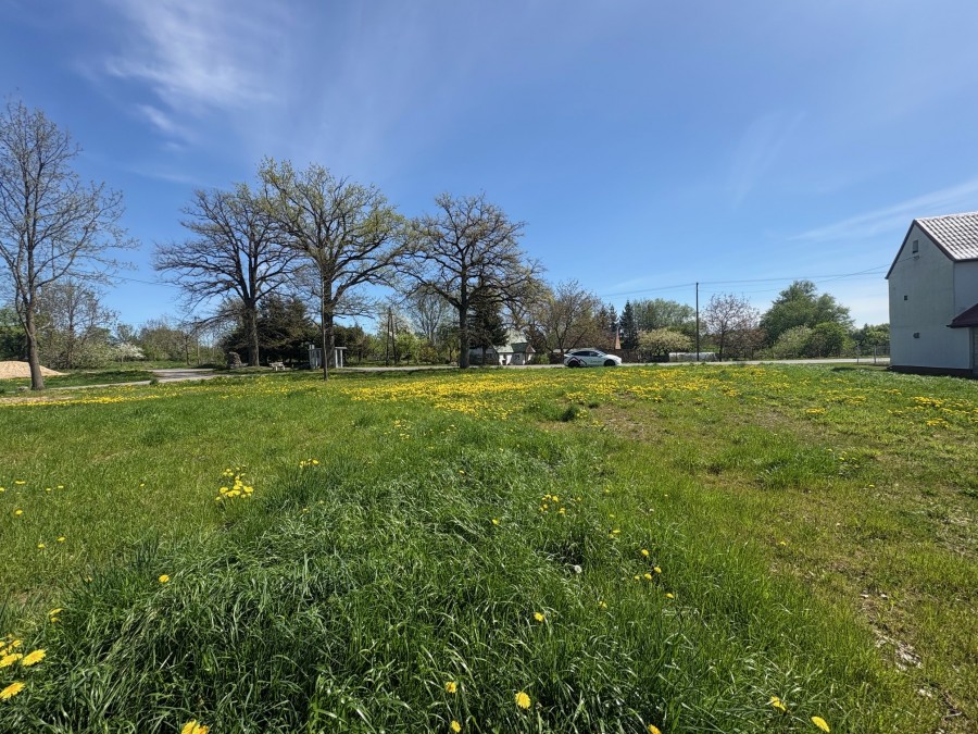 DZIAŁKA  W CENTRUM BOBROWNIK (2)