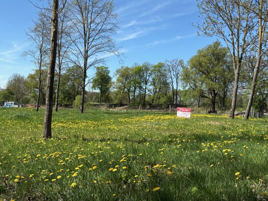 DZIAŁKA  W CENTRUM BOBROWNIK (4)