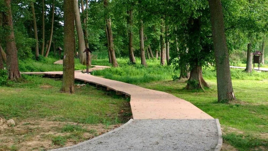 ATRAKCYJNE DZIAŁKI NAD JEZIOREM OSIEK (3)