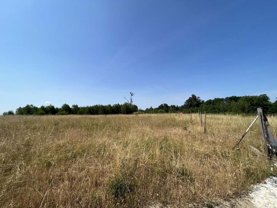 ATRAKCYJNE DZIAŁKI NAD JEZIOREM OSIEK (9)