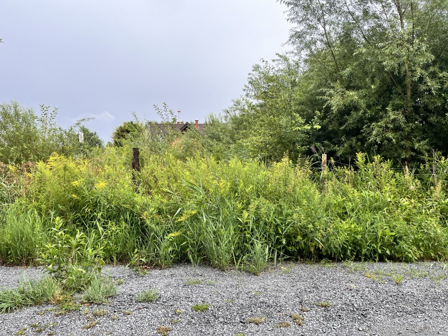 DZIAŁKA BUDOWLANA ZIELENIEWO -MORZYCZYN (2)