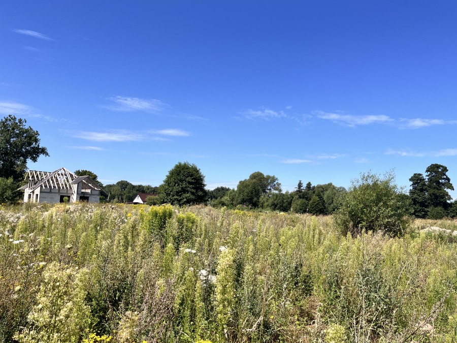 DZIAŁKA  Z WYDANYMI WARUNKAMI ZABUDOWY. (1)