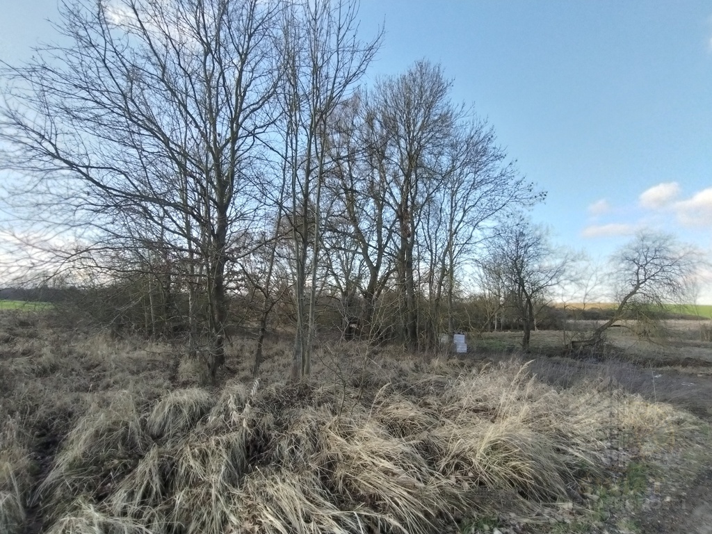 Działki budowlane w Siadle Dolnym (2)