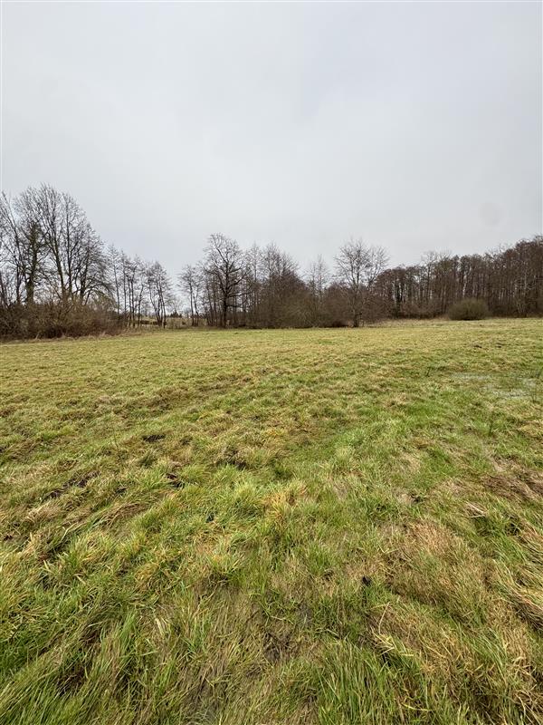 Działka Będzino 85.000 zł (6)