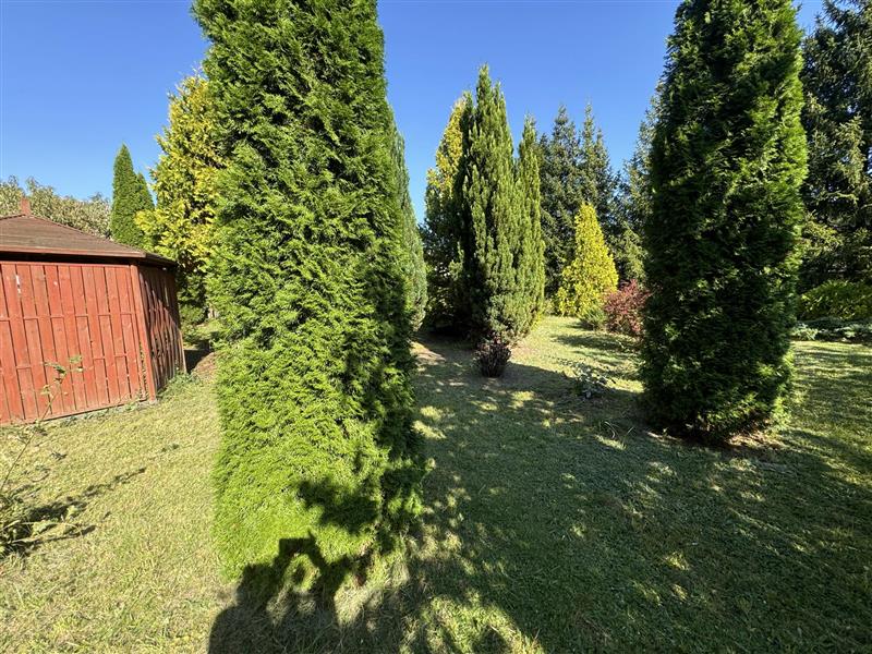 Obiekt - Trawica Trawica (4)