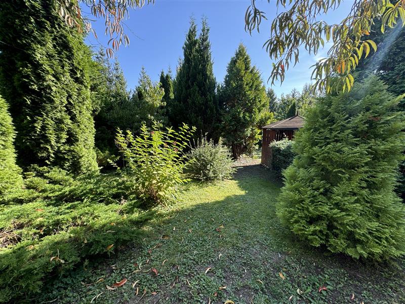 Obiekt - Trawica Trawica (8)