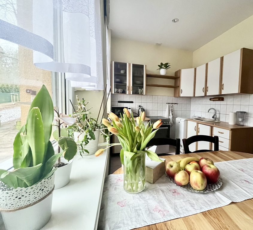 3 POKOJE/PARTER/OGRÓDEK/GARAŻ (3)